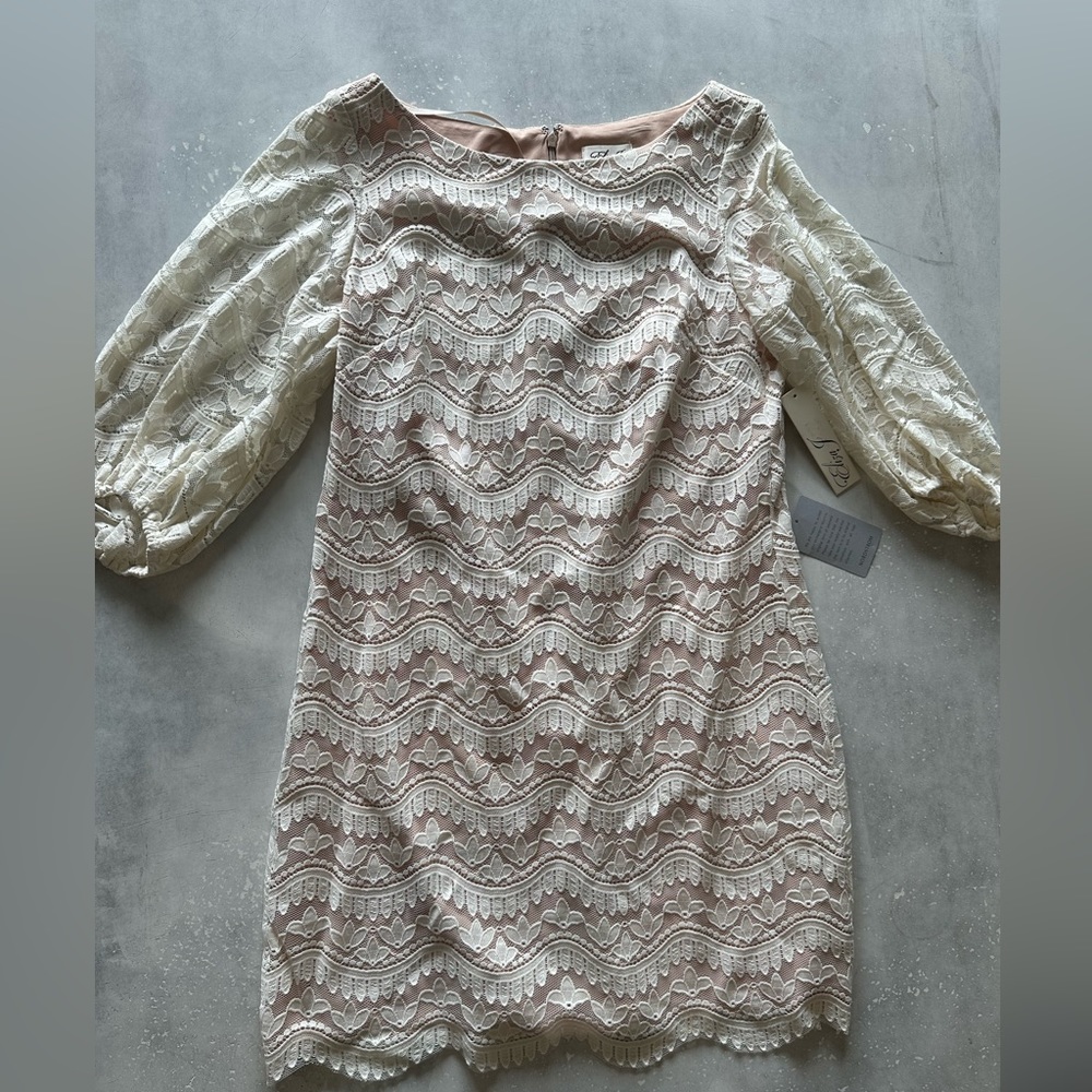 Embroidered lace dress